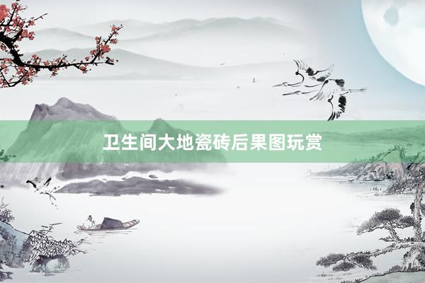 卫生间大地瓷砖后果图玩赏