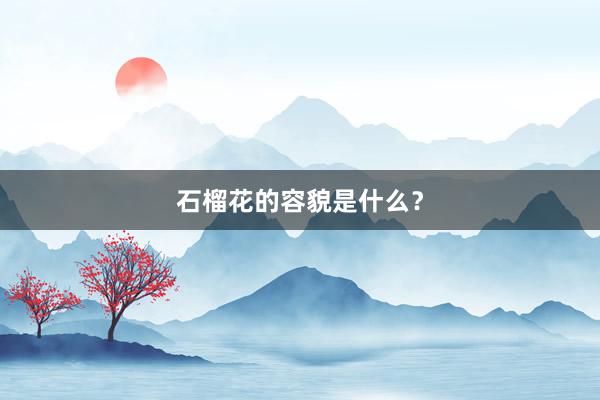 石榴花的容貌是什么？